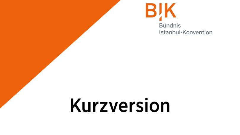Titel Kurzversion Alternativbericht BIK